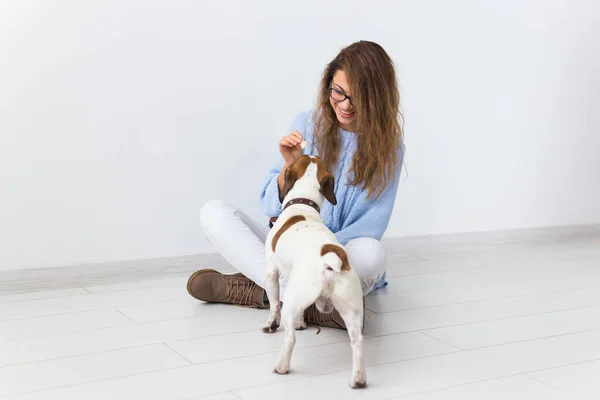 Concept de propriétaire d'animaux de compagnie - Jolie femme joyeuse en pull bleu jouant avec son animal préféré. femme heureuse avec son jack russell terrier — Photo