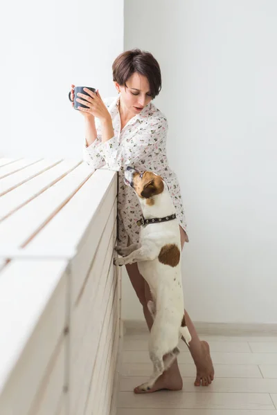 Mujer vistiendo una acogedora camiseta casera relajándose en casa y jugando con el perro Jack Russell terrier, bebiendo té. Concepto matutino . — Foto de Stock