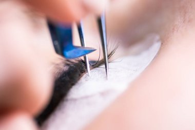 Kirpik uzatma prosedürü. Uzun kirpikli kadın gözü. Kırbaçlar, kapatın, makro, seçici odaklanma.