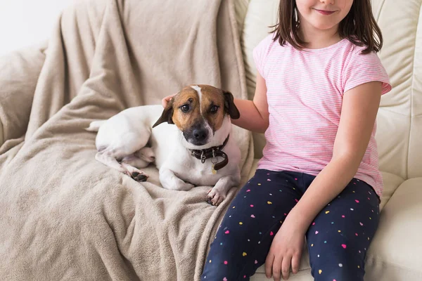 Barnflicka med gullig hund jack russell terrier på soffan. Husdjur, barn och hemmaplan. Närbild. — Stockfoto
