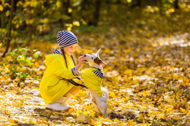 Sonbahar parkında Jack Russell Terrier ile oynayan bir çocuk. Çocuk ve Jack Russell Terrier köpeği.