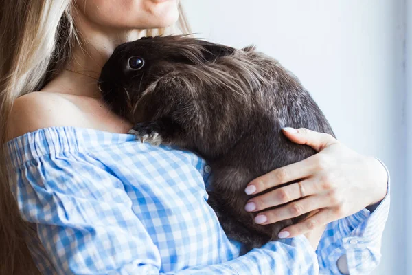 Mascotas y concepto de Pascua - Muchacha atractiva abrazando conejo marrón en casa, primer plano . — Foto de Stock