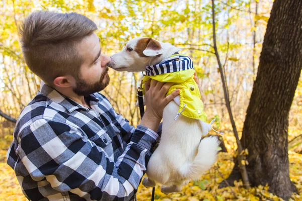 Un uomo con il suo cane al parco autunnale. Un tizio che gioca con Jack Russell Terrier all'aperto. Concetto di animali domestici e persone. — Foto Stock