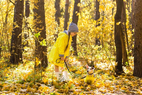 Το παιδί παίζει με τον Τζακ Ράσελ Τεριέ στο φθινόπωρο. Φθινόπωρο βόλτα με ένα σκυλί, τα παιδιά και το κατοικίδιο ζώο έννοια. — Φωτογραφία Αρχείου