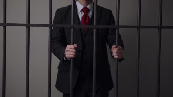 감옥에서 화이트 칼라 남자 형사 — 비디오
