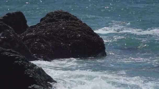 Point Dume praia oceano na Califórnia — Vídeo de Stock