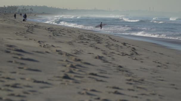 Santa monica beach, California — Stockvideo