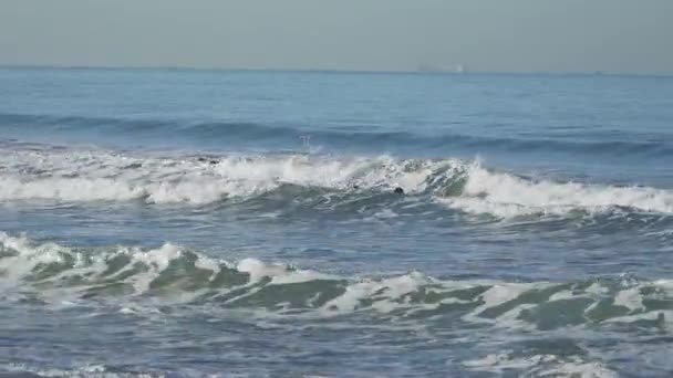 Twee surfers in de buurt van de Santa Monica Pier. — Stockvideo