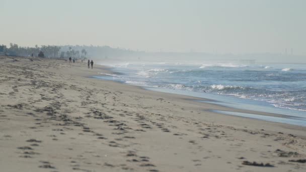 Spiaggia di Santa monica, California — Video Stock