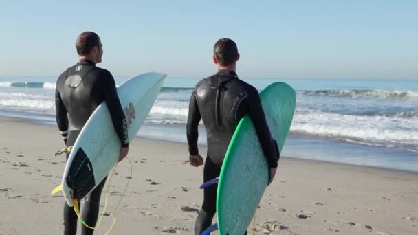 Dwóch surferów na plaży, w pobliżu molo w Santa Monica. — Wideo stockowe