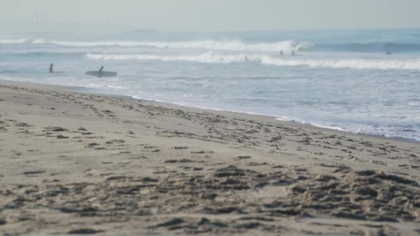 Plaża Santa monica, California — Wideo stockowe