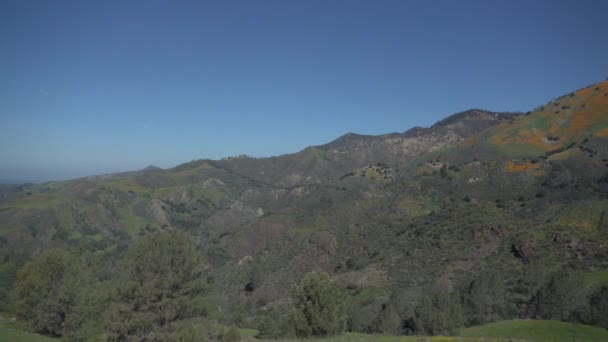 Los Padres National Forest, Каліфорнія — стокове відео