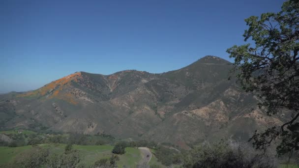 Los Padres National Forest, California — Stock Video