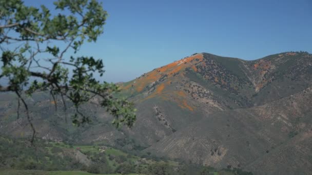 Floresta Nacional de Los Padres, Califórnia — Vídeo de Stock