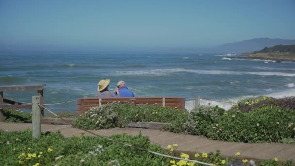 Elderly couple sit on bench in view of ocean — Stock Video