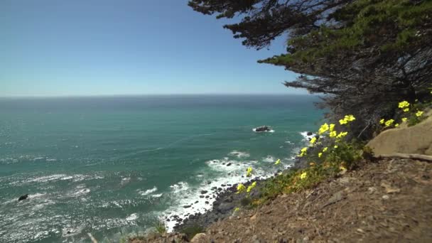 Photo de dolly gauche de fleurs au-dessus de la côte de Big Sur — Video