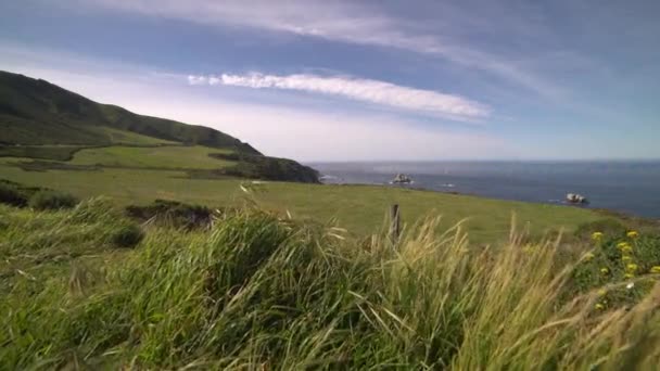 ビッグ ・ サーの緑豊かな海岸線の豪華なクレーン ショット — ストック動画