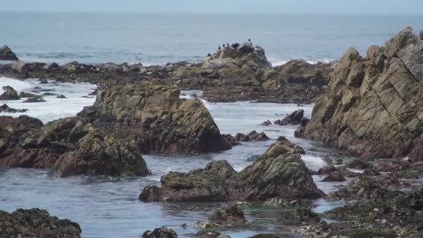 Scene from dramatic coast along historic — Stock Video