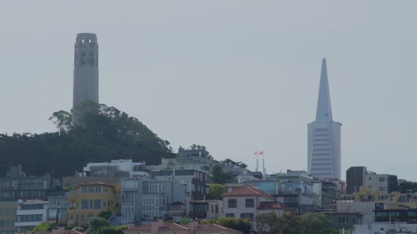 Uma vista da torre Coit e do edifício Transamerican — Vídeo de Stock