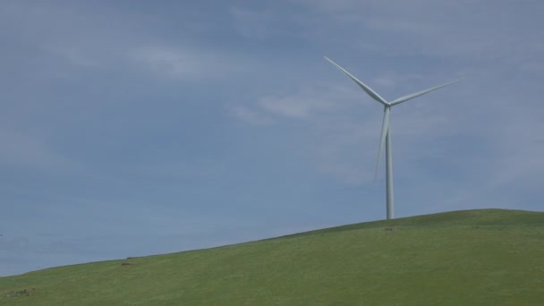 Turbina em uma colina verde em um parque eólico californiano — Vídeo de Stock