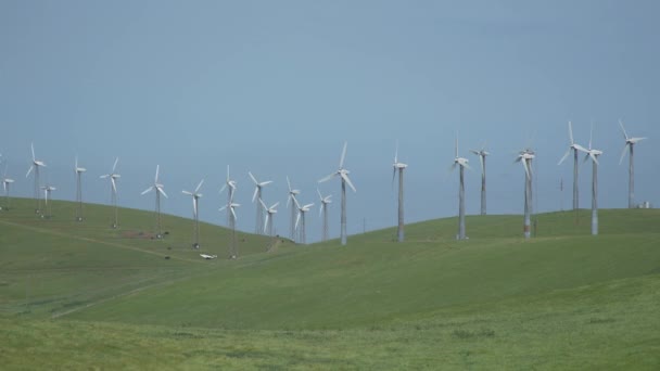 Twee dozijn turbines in een Californische wind farm — Stockvideo