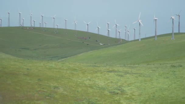 Ветер дует траву рядом с калифорнийской ветряной фермой — стоковое видео