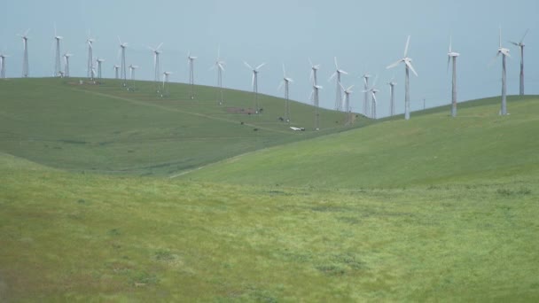 Wind blows the grass near a Californian wind farm — Stock Video