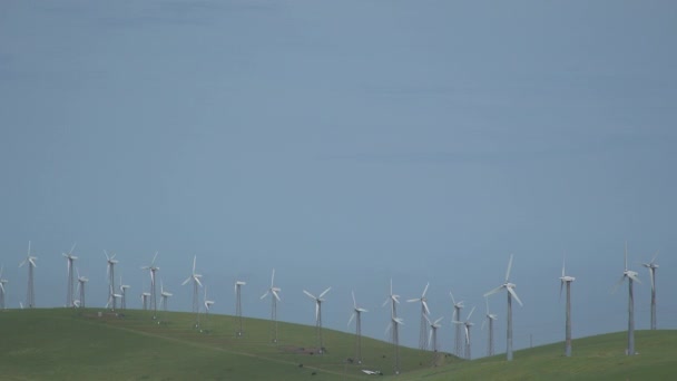 Ciel bleu au-dessus d'un parc éolien californien — Video