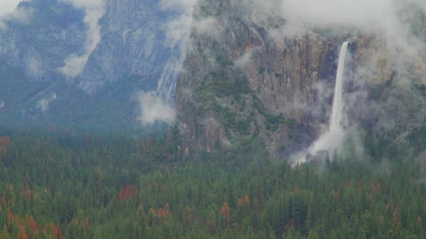 Weitschuss von Yosemite fällt — Stockvideo