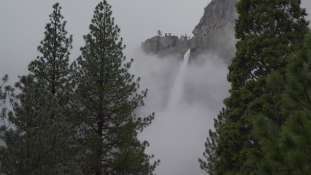 Torre de árvores em frente às Cataratas de Yosemite — Vídeo de Stock