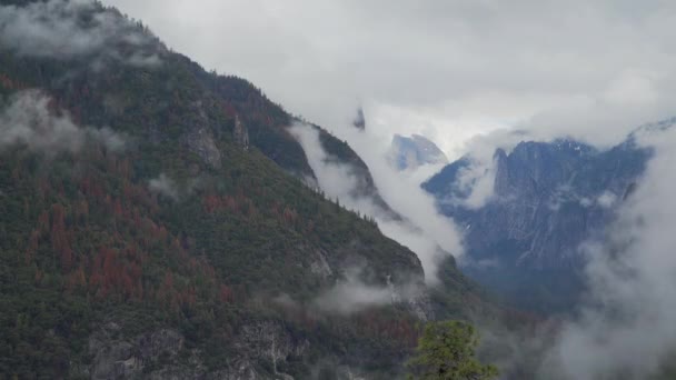 Lasso di tempo di nuvole che soffiano nella valle dello Yosemite — Video Stock