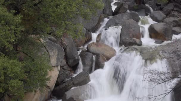 En rask våren floden rusar över stenar i Yosemite — Stockvideo
