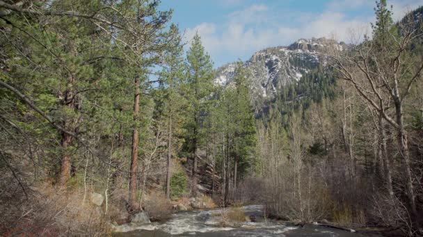 A água da neve enche um riacho na serra Nevada — Vídeo de Stock