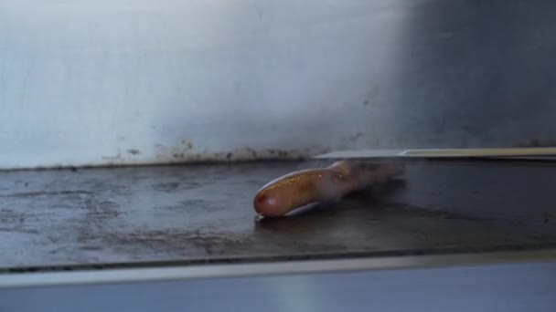 ベンダーのニューヨーク市でホットドッグを調理します。 — ストック動画