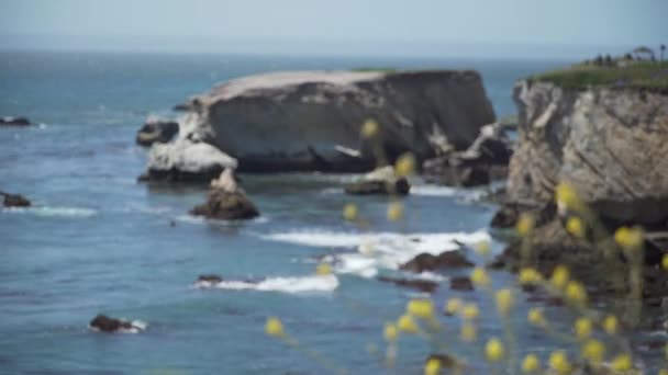 Ruige rotsen in de buurt van Pismo Beach, Californië — Stockvideo