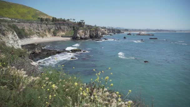 Gaivotas voam ao longo da costa rochosa perto de Pismo Beach, Califórnia — Vídeo de Stock