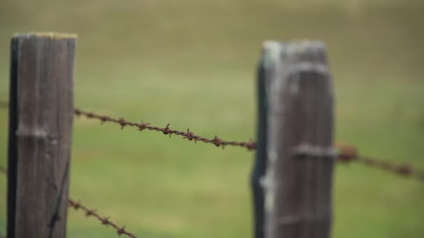 Shallow DOF pan shot of an old barbed wire fence — Stock Video