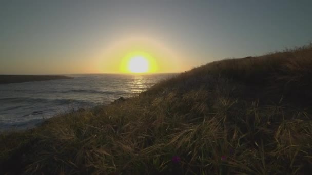 Guindaste levanta através da grama ao pôr do sol perto Spooners Cove — Vídeo de Stock