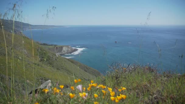 Vista del océano Pacífico con amapolas en primer plano — Vídeos de Stock