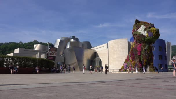 A wide view of the puppy at the Bilbao Guggenheim — Stock Video
