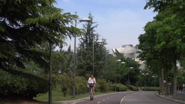 Вид на Бильбао рядом с парком — стоковое видео
