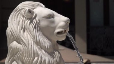 Bir aslan Jado kare içinde su spurts