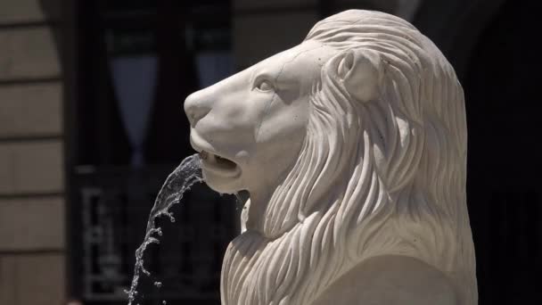 Vista de una estatua de león en el parque Jado — Vídeo de stock