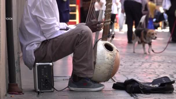 Pohled na černé pouliční muzikant hrající kora — Stock video