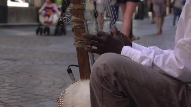 Närbild bild av en man som spelar en kora — Stockvideo