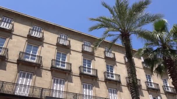 Dvě palmy v hotelu plaza — Stock video