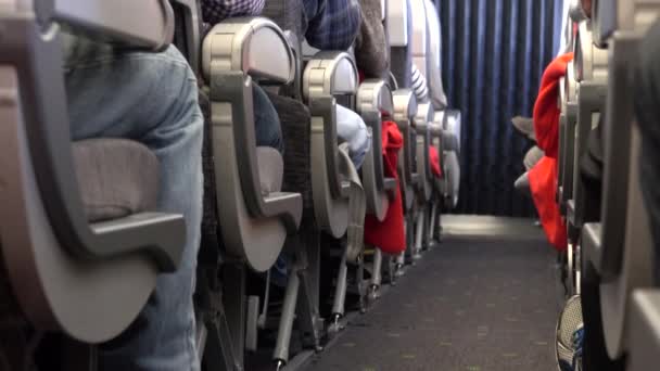 Pasajeros sentados en clase turista en un vuelo internacional — Vídeo de stock