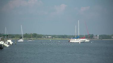 Birkaç pahalı lüks yelkenli bir Marina