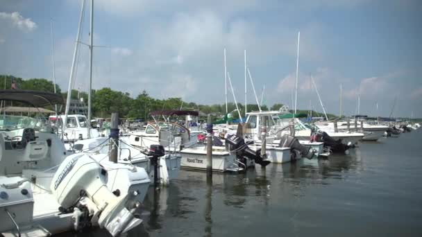 Varios veleros de lujo en un puerto deportivo — Vídeo de stock