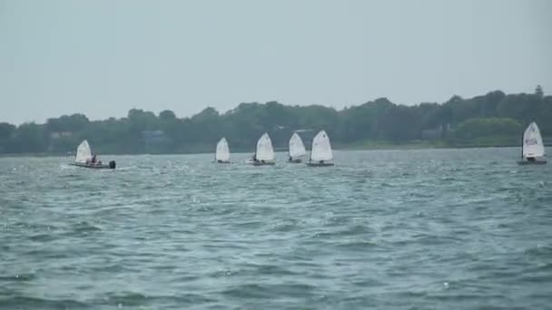 Boat regatta sailing school in the bay near Fire Island — Stock Video